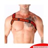 Harnais Romain rouge MACHO