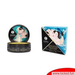 Calendrier des désirs Exclusif 25 ans SHUNGA