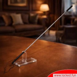 HURTME DeLuxe – Cravache en métal pour une domination sans compromis