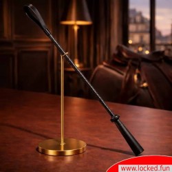 Cravache BDSM en noir pour les débutants et les pros