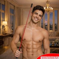 Cravache de luxe BDSM en aluminium - canne Daemonium BDSM