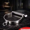Collier BDSM en acier Style Darby