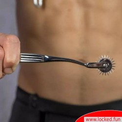 Painwheel de Dr. Sado