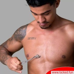 Painwheel de Dr. Sado