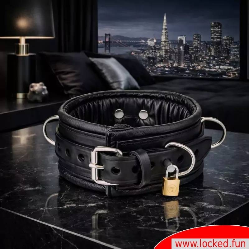 Collier BDSM en cuir, verrouillable  San Francisco
