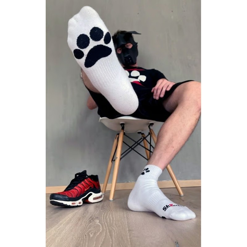 Chaussettes PUPPY - Blanc SK8erboy