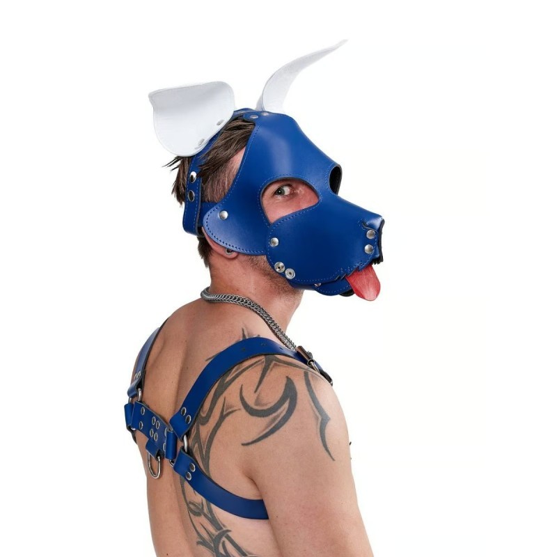 Mister B Leather Shaggy Dog Hood Circuit – Bleu-Blanc