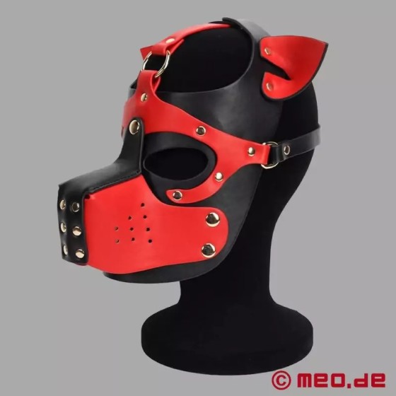 Playful Pup Hood - noir / rouge