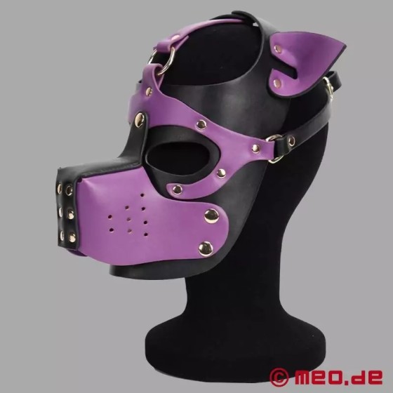 Playful Pup Hood - noir / violet