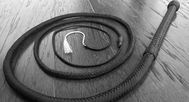 Le Bullwhip est une technique qui suscite à la fois fascination et appréhension